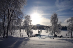 Landscape